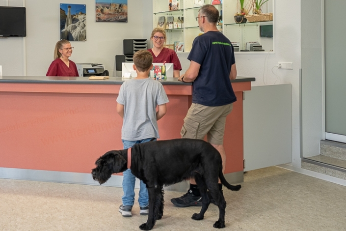 Tierarzt Heidelberg Tierärztliches Zentrum An Der Feuerwache