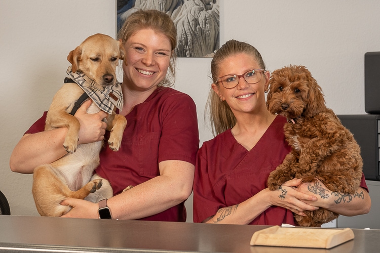 Tierärztliches Zentrum | Team mit Hunde